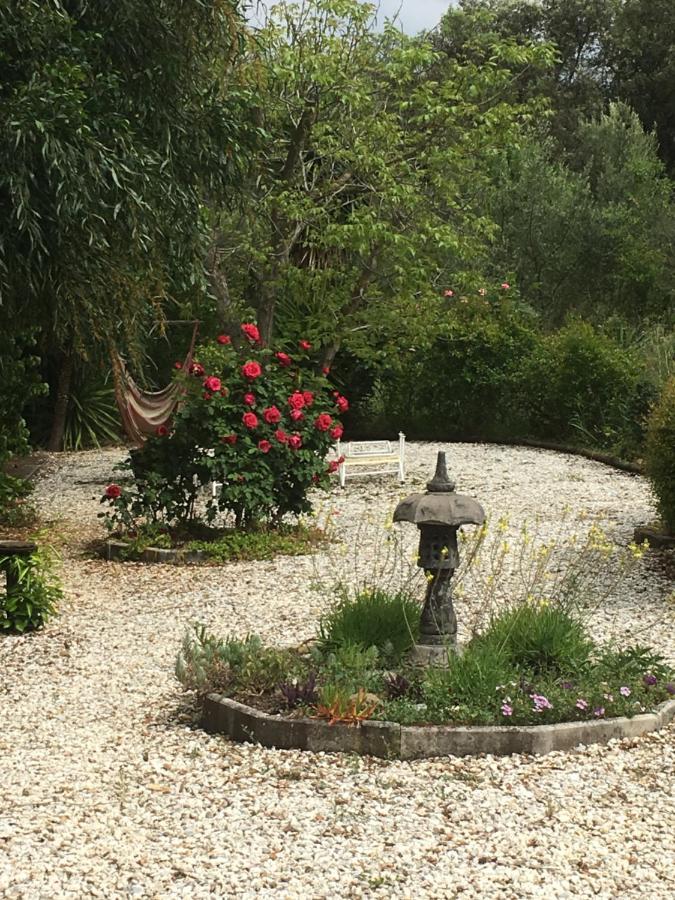 Finca El Rio,, La Casita One Of 2 Self Catering Studios. Pool And Hydrotherapy Jacuzzi Μάλαγα Εξωτερικό φωτογραφία