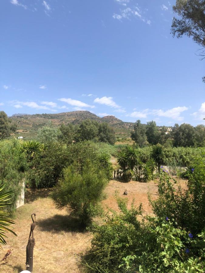 Finca El Rio,, La Casita One Of 2 Self Catering Studios. Pool And Hydrotherapy Jacuzzi Μάλαγα Εξωτερικό φωτογραφία