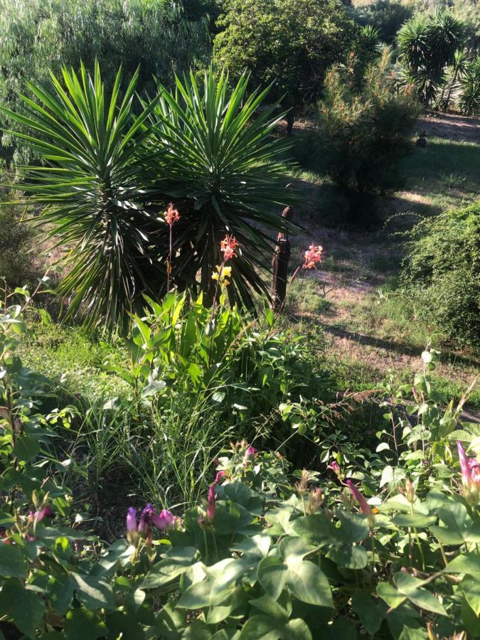 Finca El Rio,, La Casita One Of 2 Self Catering Studios. Pool And Hydrotherapy Jacuzzi Μάλαγα Εξωτερικό φωτογραφία