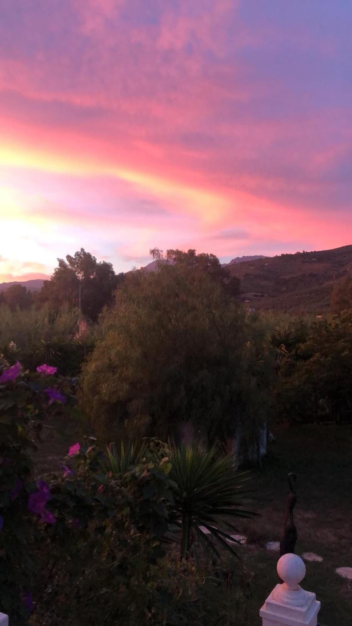 Finca El Rio,, La Casita One Of 2 Self Catering Studios. Pool And Hydrotherapy Jacuzzi Μάλαγα Εξωτερικό φωτογραφία